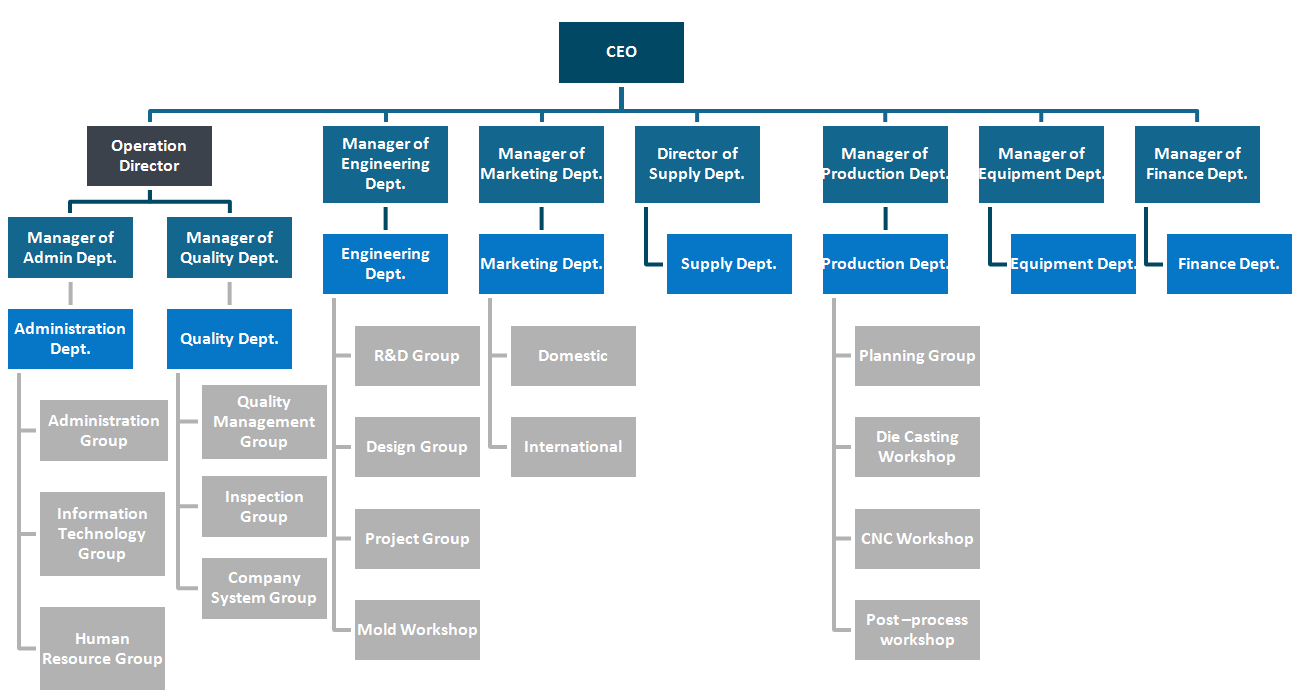 company organization.png